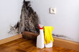 Why you should choose our mold remedi tion services in #city